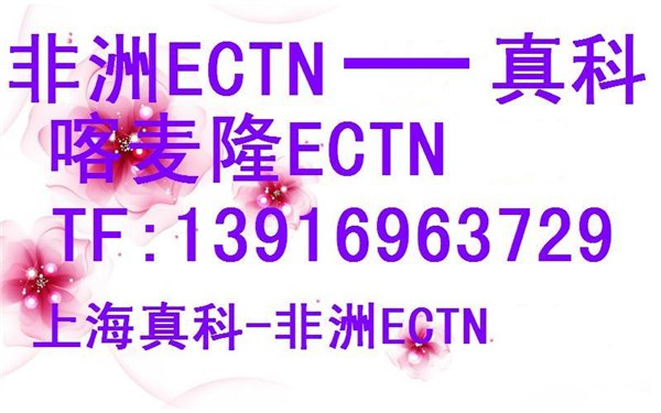 喀麦隆besc是什么