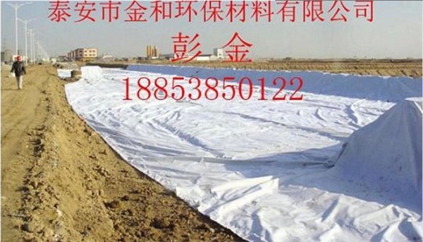 甘肃涤纶针刺无纺土工布要去哪里买？