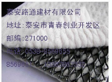 三维复合排水网销售，三维复合排水网批发
