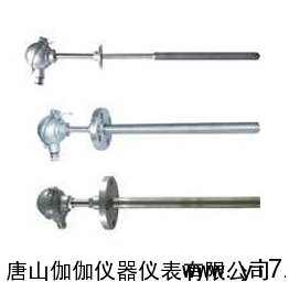 供应耐磨热电阻WPNM-PT100