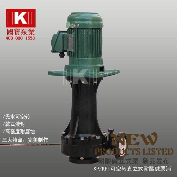 供应国宝牌KD-50VK-5耐腐蚀立式泵/槽外立