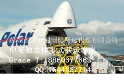中国至尼泊尔Nepal国际运输金牌专线就在郑州泰亚陆通国际货运