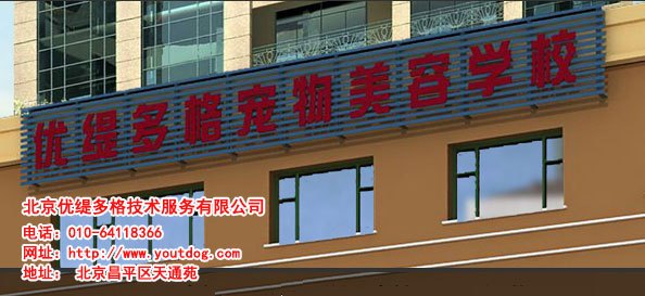 上宠物美容师培训班，就能一技在手，高薪就业无忧