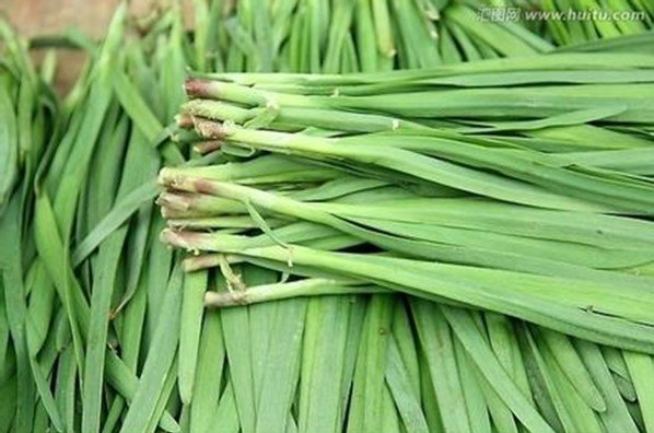 韭菜售价，韭菜购销，销售韭菜