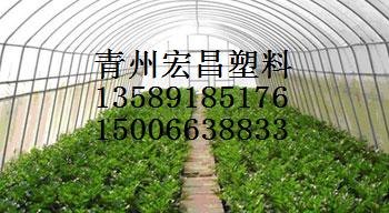 双防膜-双防膜价格-双防膜供应-青州宏昌塑料