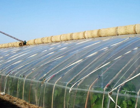最超值的蔬菜高温大棚首选金威温室材料公司