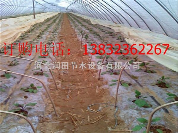 陕西大棚膜下滴灌厂家 |滴灌带哪家好