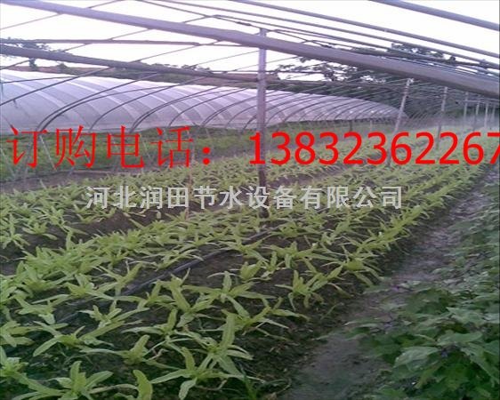 陕西大棚滴灌工程设计|网式过滤器价格