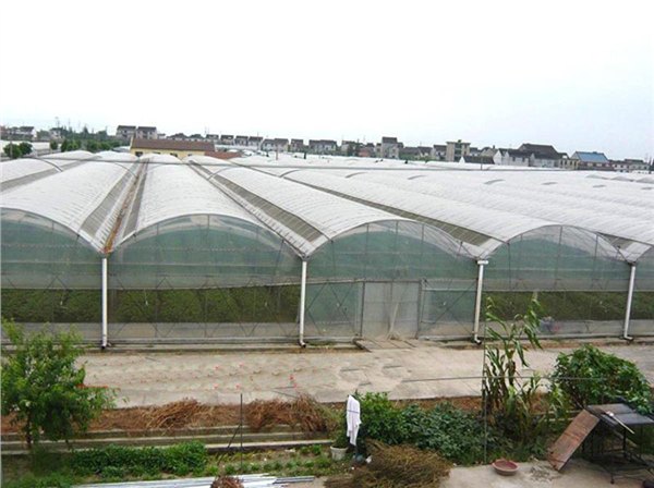 山东青州温室大棚骨架报价|青州连栋温室大棚骨架|潍坊温室工程厂家