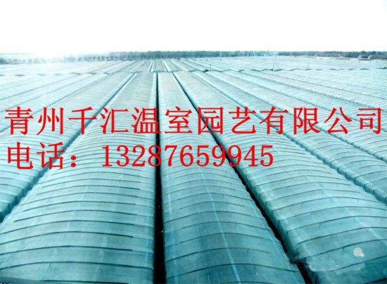 优质的薄膜温室千汇温室园艺供应