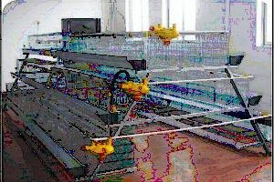 手烧生物质锅炉厂家_新乡哪家手烧卧式生物质锅炉批发价格低