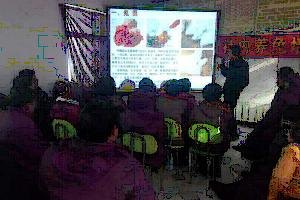 兔大肠杆菌病治疗价格