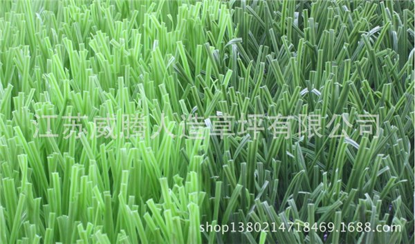 江阴单茎双色人造草坪 塑料草坪地毯 足球场人造草坪