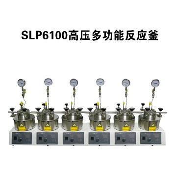 湖北供应SLP6100高压多功能反应釜