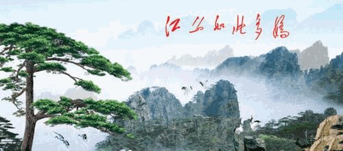 自动打包机上的使用方法