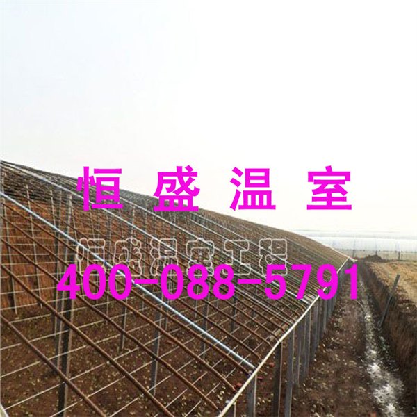 全钢架拱形育苗温室