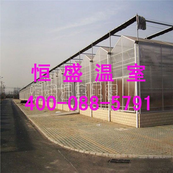 阳光板智能温室建设