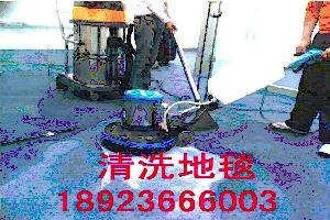 龙湖区清洗地毯私营企业-广东清洗地毯全市服务