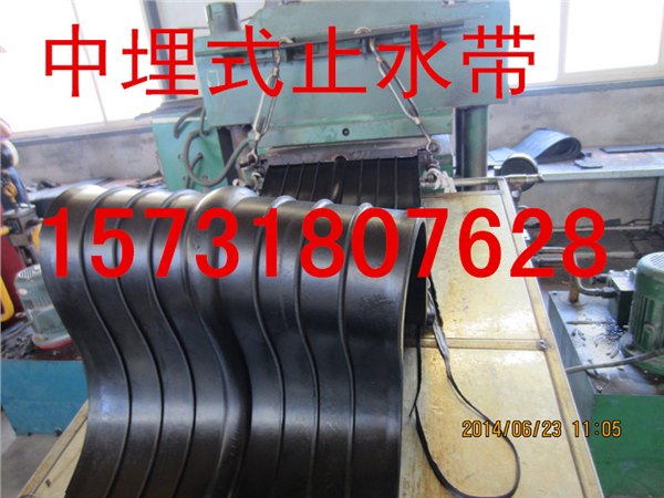 供应阳江中埋式橡胶止水带