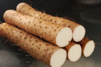 哪里有卖山药的，山药批发处，保鲜山药