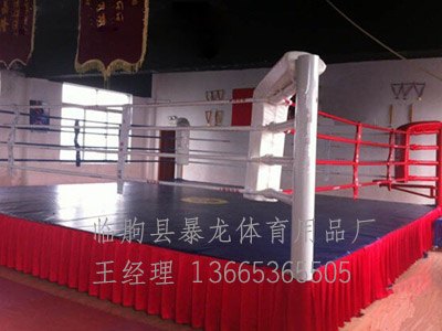 散打台—散打台生产厂家—生产散打台—临朐暴龙