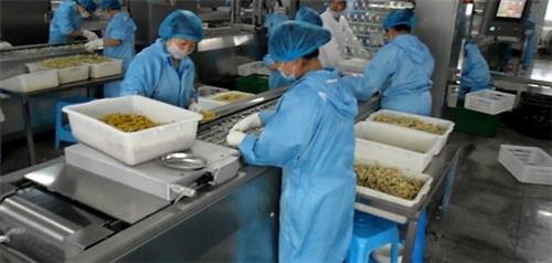 诸城旭鑫机械拉伸膜机械工作原理中卫拉伸膜机械