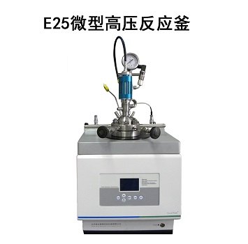 广州供应易锐凯姆E25微型高压反应釜