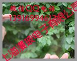 供应AG防眩玻璃
