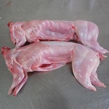 冷冻整兔 兔头 兔肉