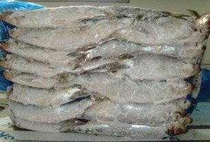 冷冻鳕鱼 银鱼 章鱼 鲳鱼