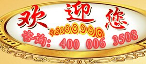 优质美味专家御膳叉骨促销产品