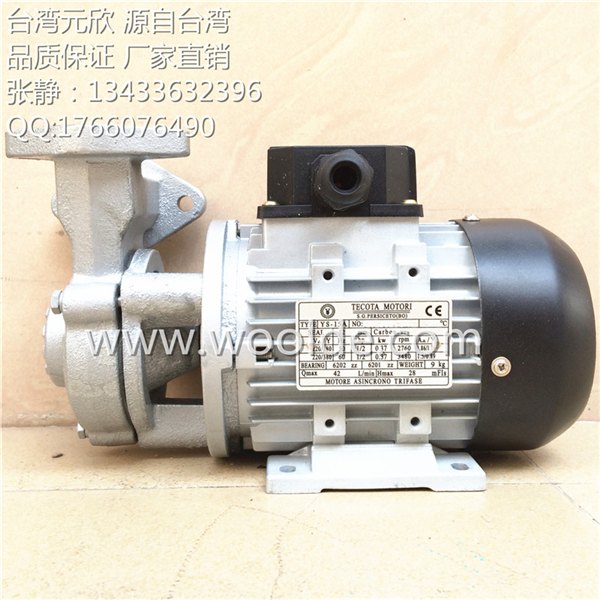 TECOTA MOTORI高温油泵 YS-15C 高温循环泵 导热油泵