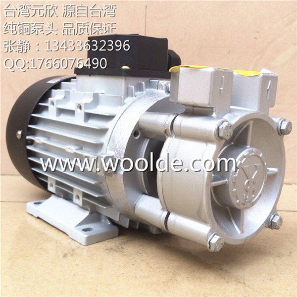 台湾元欣 TECOTA MOTORI 导热油泵 YS-30A 