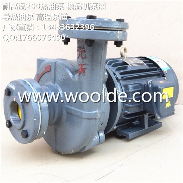 台湾元欣TECOTA MOTORI导热油泵 YS-35E 模温机泵浦