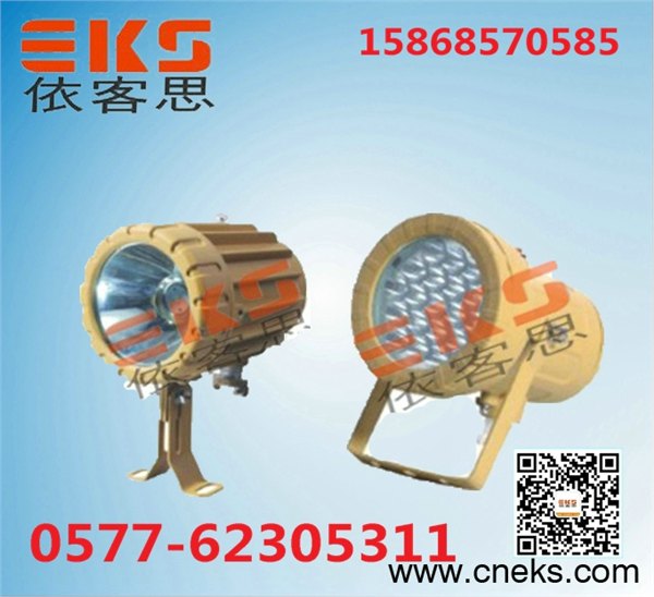 防爆LED视孔灯BAK51-AC220V主要用于化学反应容器照明