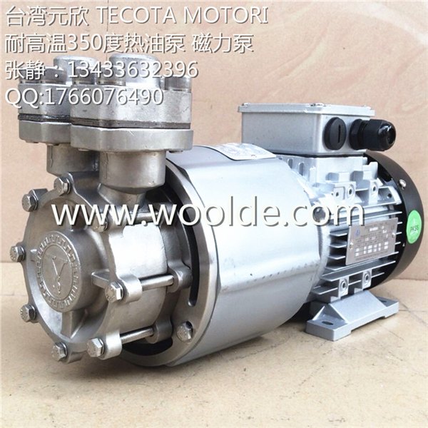 元欣水泵 TECOTA MOTORI导热油泵YS-MAPW3000