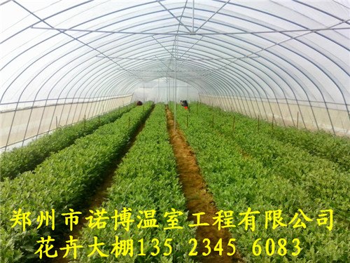 温室大棚建造郑州育苗栽培温室大棚