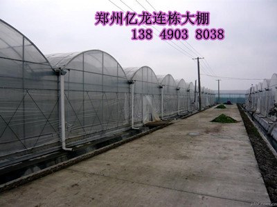 连栋温室大棚造价郑州连栋育苗温室建设