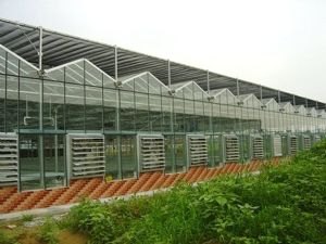 温室工程造价