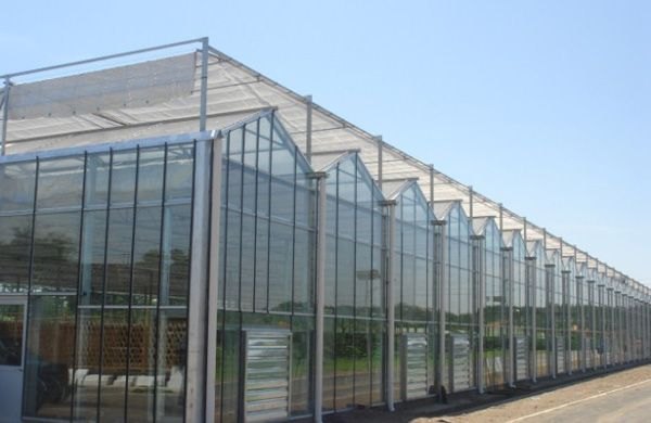 连栋温室建设