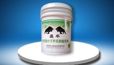 江苏涂浆胶价格是多少