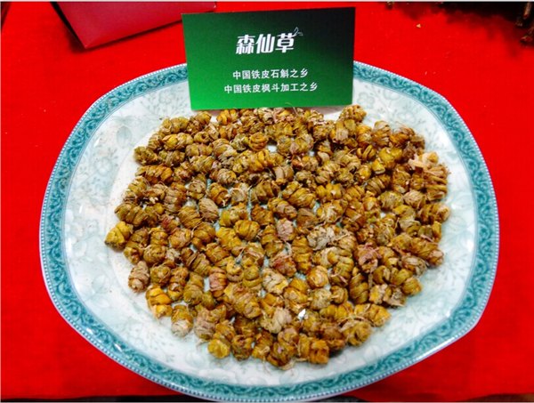 铁皮石斛的功效  宜与西洋参同服