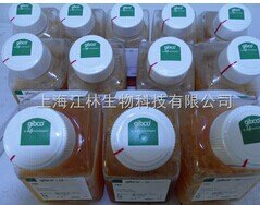 胎牛血清价格