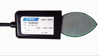 叶面湿度传感器