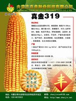 农作物种子批发