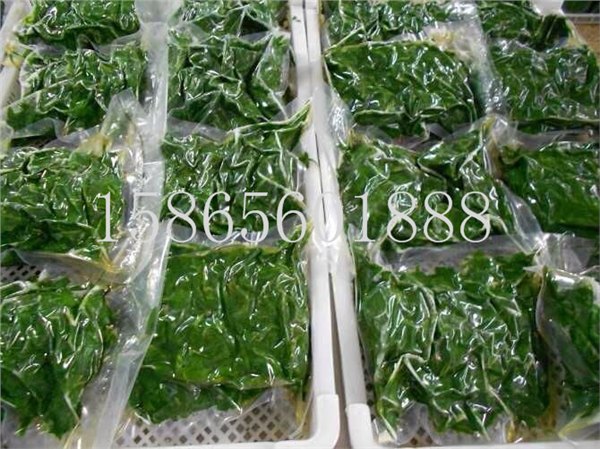 速冻野菜厂家/金丝蛹专卖/蚕蛹批发/野生荠菜批发