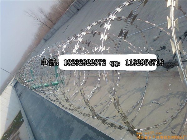 刀刺滚龙，蛇腹刺网，刮刀刺网