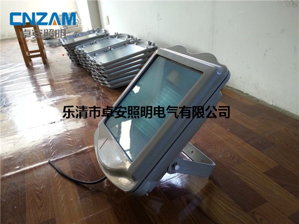 EBF202泛光通路灯