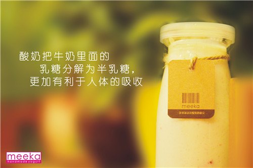 meeka手工酸奶/ 手工酸奶销售中心