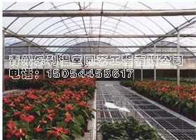 专业花卉温室建设的队伍找青州乐利温室！
